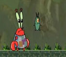 Bay Yengeç ve Plankton