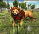 Aslan Avlama 3d