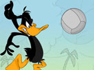 Daffy Voleybol