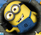 Minion Macera 