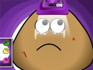 Pou Acil Serviste