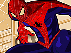Spiderman Kostümü