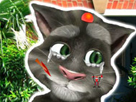 Talking Tom Doktorda