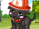 Yaramaz Labrador